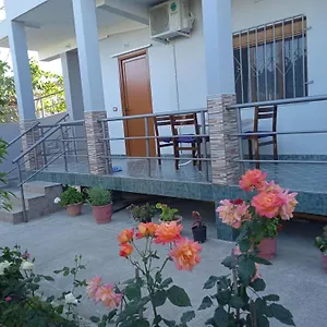 N Dervishi Vlorë